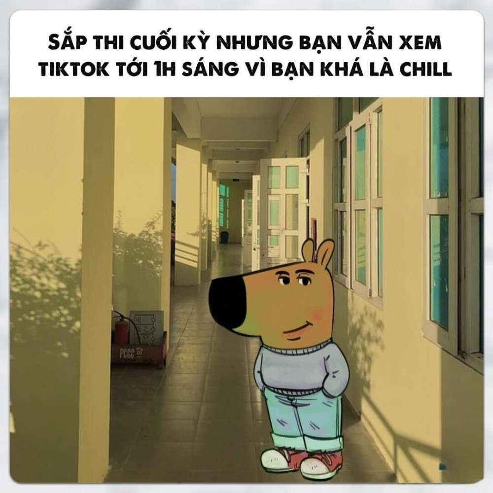 Meme Anh chàng thư giãn trong kỳ thi cuối kỳ.